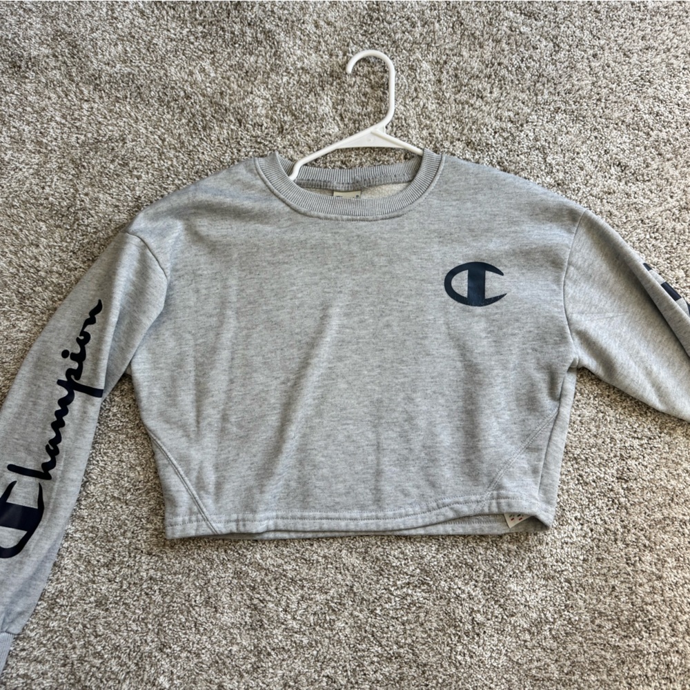 Champion Crop Hoodie
